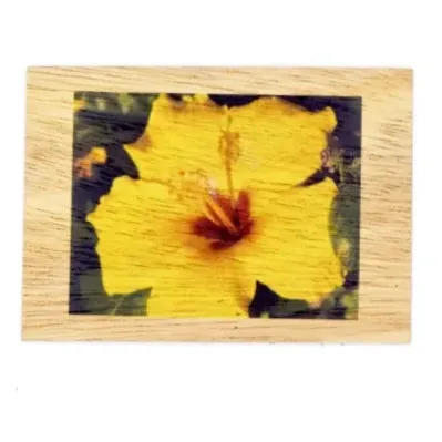 Koa Kards Mkneki Hawaiian Koa Wood Magnets 25 x 35 KOAKARDS Earrings