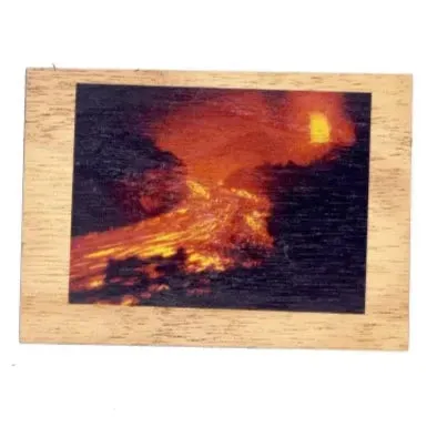 Koa Kards Mkneki Hawaiian Koa Wood Magnets 25 x 35 KOAKARDS Earrings