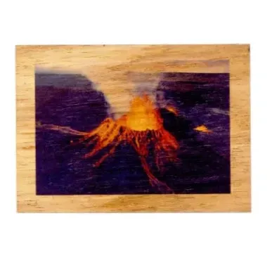Koa Kards Mkneki Hawaiian Koa Wood Magnets 25 x 35 KOAKARDS Earrings