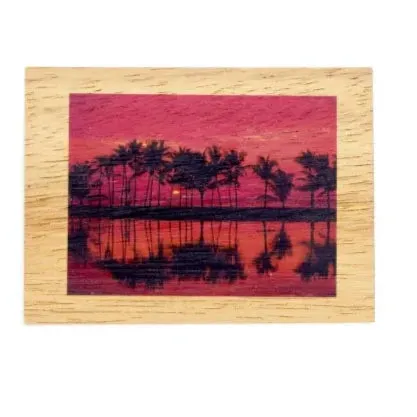 Koa Kards Mkneki Hawaiian Koa Wood Magnets 25 x 35 KOAKARDS Earrings