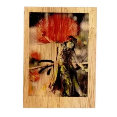Koa Kards Mkneki Hawaiian Koa Wood Magnets 25 x 35 KOAKARDS Earrings