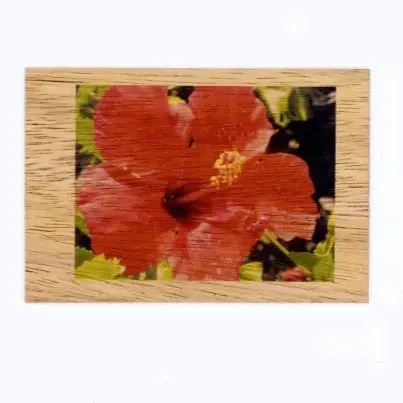 Koa Kards Mkneki Hawaiian Koa Wood Magnets 25 x 35 KOAKARDS Earrings