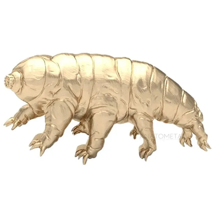 Anatometal Earrings threadless Tardigrade End in Gold