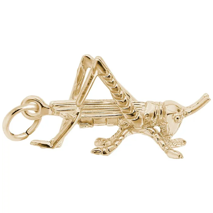14K Yellow Gold Grasshopper Charm Croghans Charm Necklaces