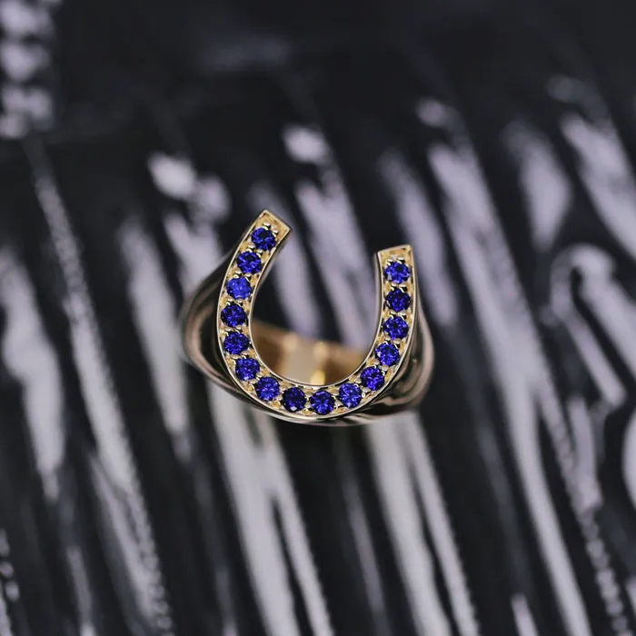 Diamond Source NYC Diffused Round Brilliant Blue Sapphire Horseshoe Ring Set in 14K Yellow Gold 020ct tw Rings Diamond Source NYC Diffused Round Brilliant Blue Sapphire Horseshoe Ring Set in 14K Yellow Gold 020ct tw Rings