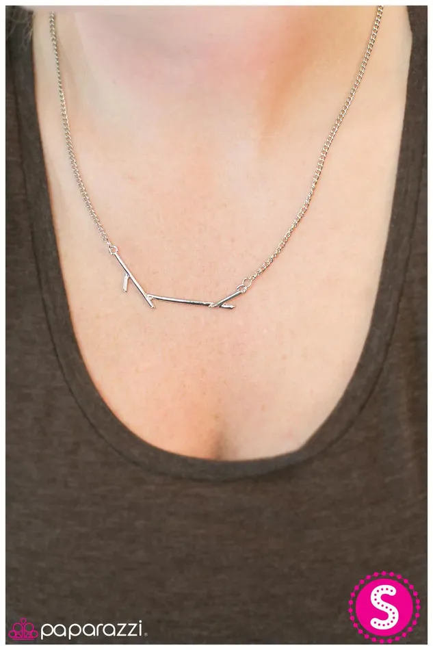 Necklaces Paparazzi Jewelry Paparazzi Necklace Firewood Silver
