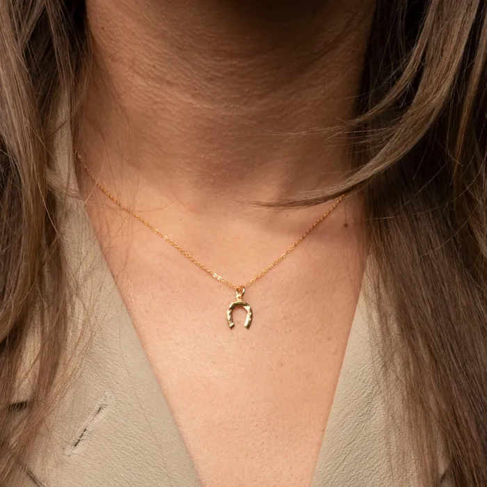 TheRoseGypsy Necklaces Gold Filled Horseshoe Necklace