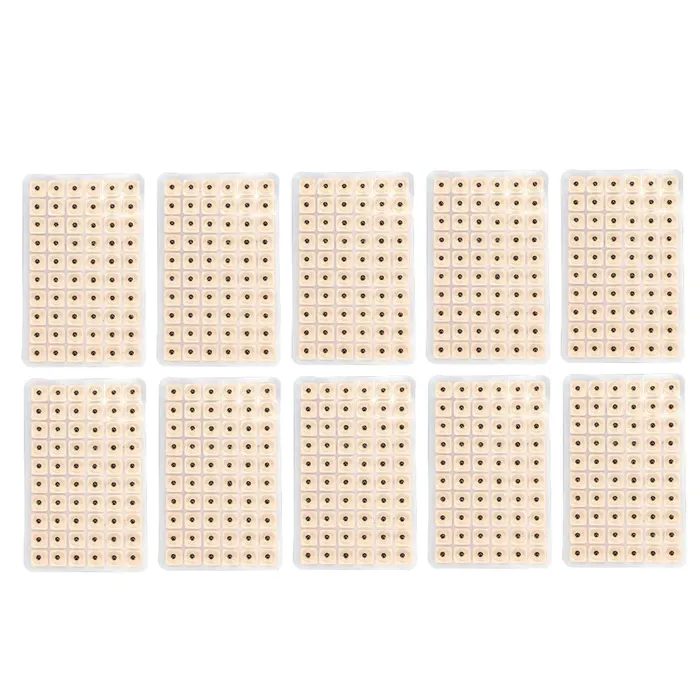 Earrings Life Changing Energy 600pcs Disposable Ear Press Stickers Acupuncture Vaccaria Plaster Bean