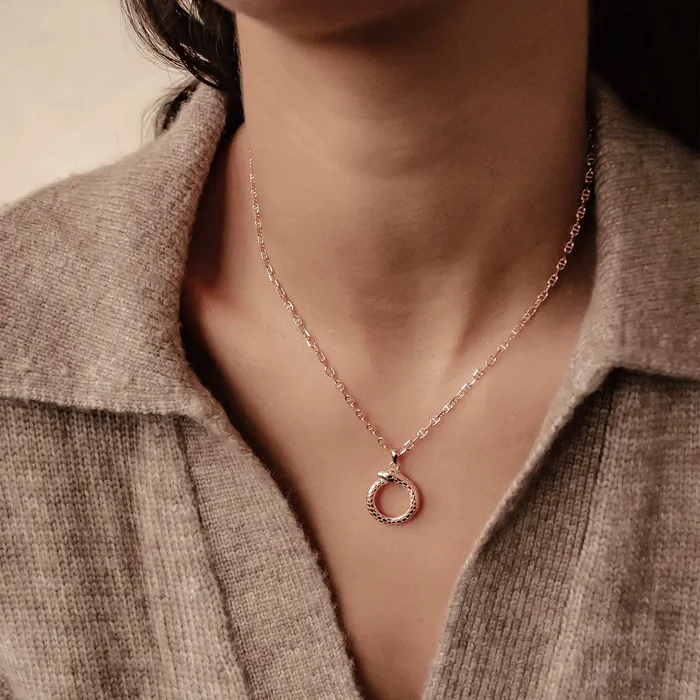 Hey Happiness Necklaces Snake Ouroboros Pendant Necklace for Renewal Sterling Silver Hey Happiness Necklaces Snake Ouroboros Pendant Necklace for Renewal Sterling Silver