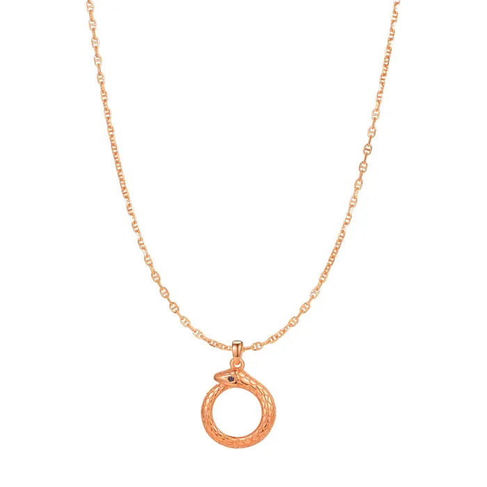 Hey Happiness Necklaces Snake Ouroboros Pendant Necklace for Renewal Sterling Silver Hey Happiness Necklaces Snake Ouroboros Pendant Necklace for Renewal Sterling Silver