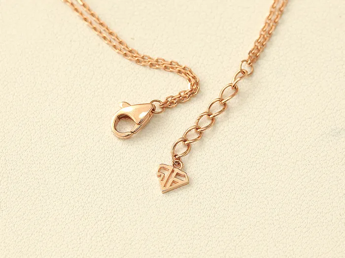 Bracelets MinimalBijoux 14K 18K Gold Clip Link Chain Bracelet
