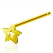 Earrings Tulsa Body Jewelry Gold Star Outline Nostril Pin
