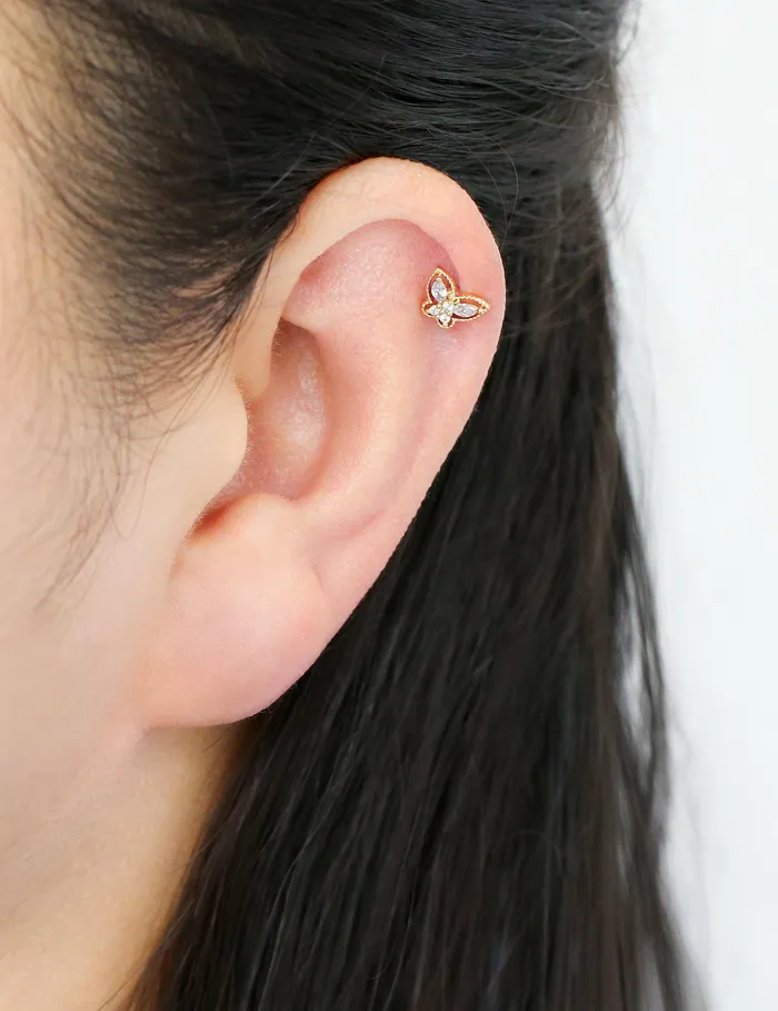 MinimalBijoux Butterfly Cubic CZ Cartilage earring Earrings