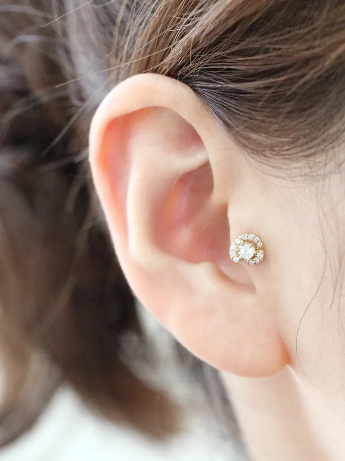 MinimalBijoux Earrings 14K Gold Camelia Flower Tragus Piercing 18G16G