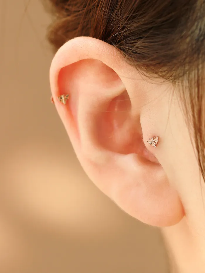 PreStyled Sets MinimalBijoux 14K Gold Internally Bee Labret Piercing 18G16G