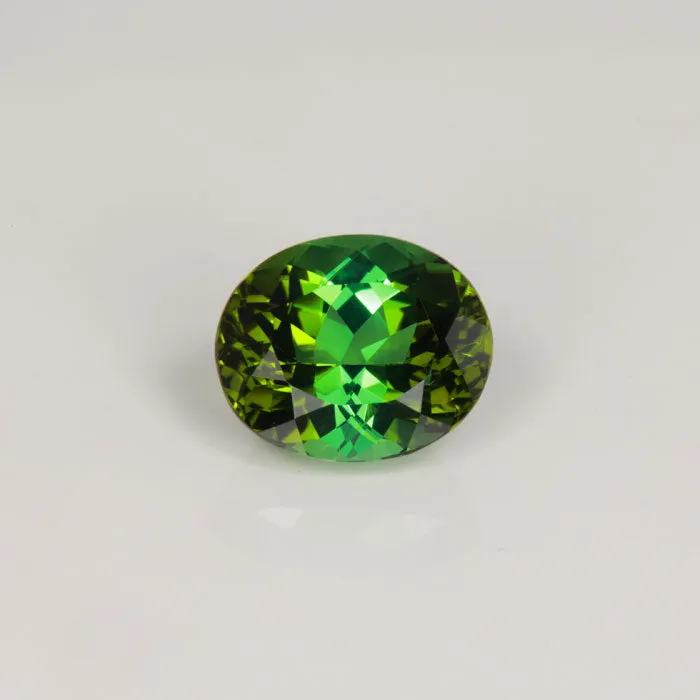 vendorunknown Oval Cut Tourmaline 556 Carats Rings